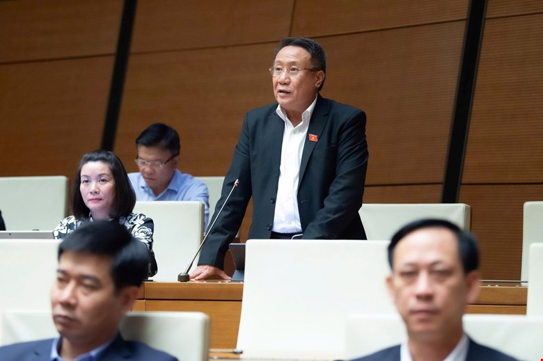 Dai bieu Ha Sy Dong. Anh: Quochoi.vn