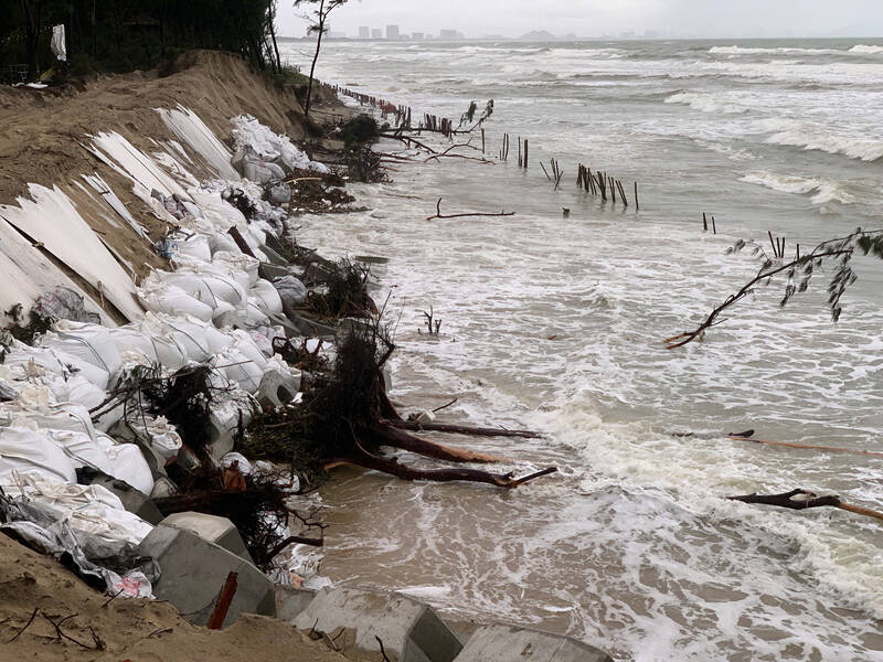 The coast of Tan Thanh block (Hoi An Tay ward, Da Nang) was seriously eroded at the end of October 2025. Photo: Thu Giang