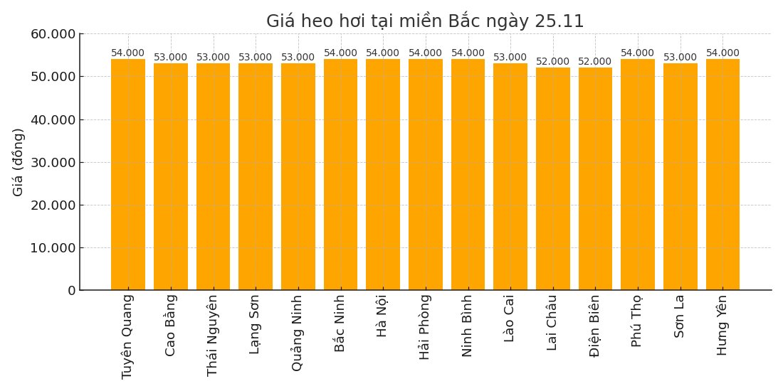 Gia heo hoi hom nay 25.11 tai khu vuc mien Bac. Do hoa: Thuy Linh