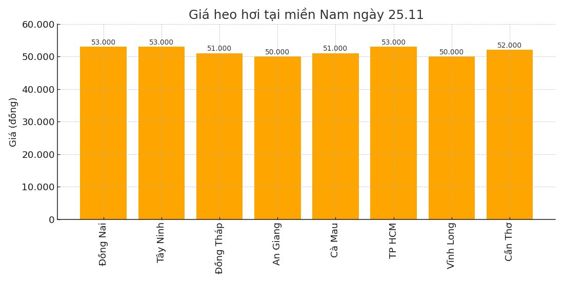 Gia heo hoi hom nay 25.11 tai khu vuc mien Trung. Do hoa: Thuy Linh