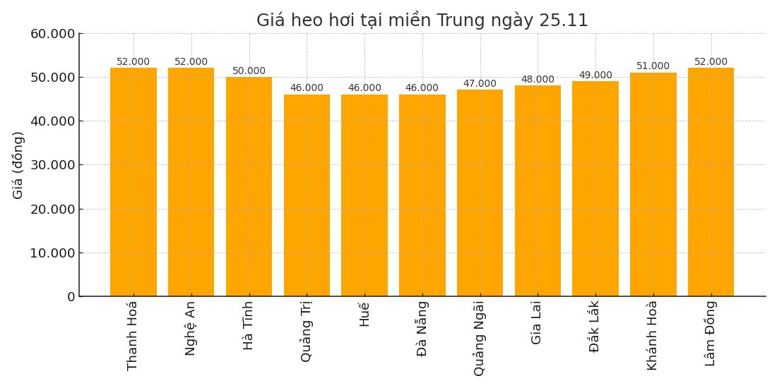 Gia heo hoi hom nay 25.11 tai khu vuc mien Trung. Do hoa: Thuy Linh