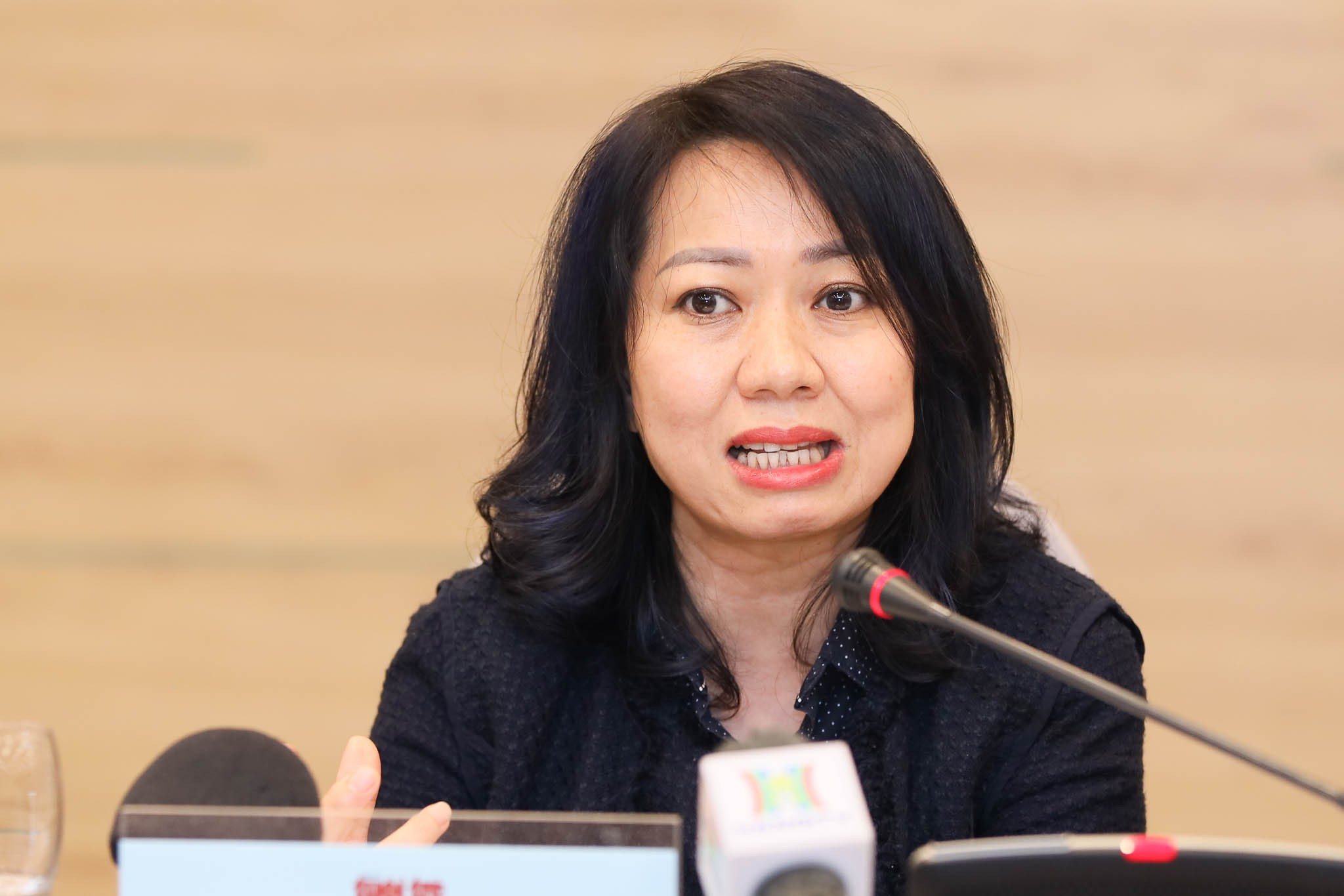 Dai dien So Nong nghiep va Moi truong Ha Noi cho rang de cai thien tinh trang o nhiem khong khi, Ha Noi can no luc gap doi, gap ba. Anh: Phuong Anh