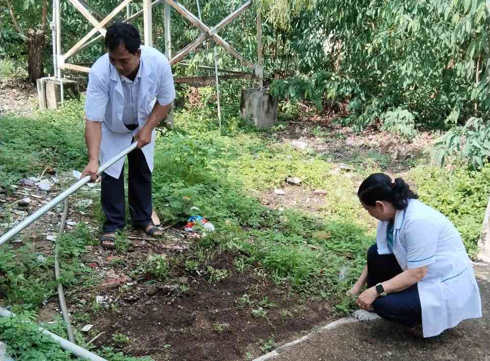 Xa Buon Don cham soc, phat trien vuon thuoc nam de ho tro cham soc suc khoe cho ba con. Anh: Bao Lam