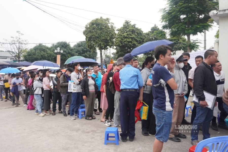 지난 기간 동안 일부 사회 주택 프로젝트에서 입찰 서류 제출을 기다리는 입찰자들이 밀집되어 입찰 서류를 제출하기 위해 줄을 서서 기다리는 상황이 발생했습니다. 사진: Nhu Ha