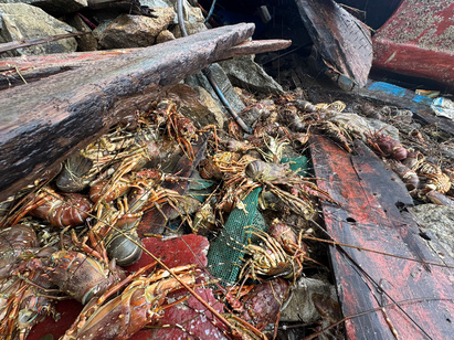 Tom hum o Dak Lak bi vut boc mui hoi thoi. Anh: Huu Long