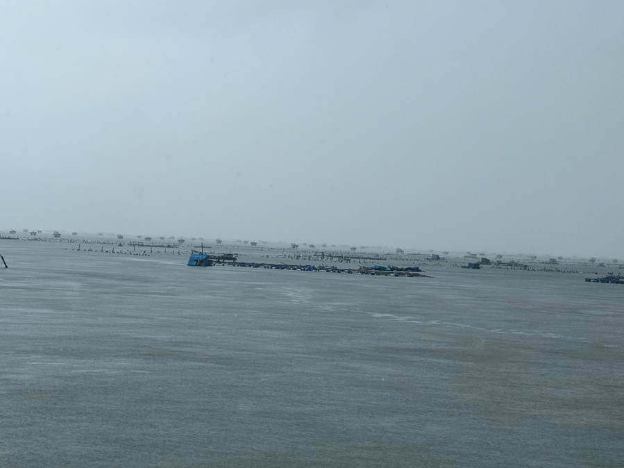 Nhung long nuoi tom hum hu hong hoac bi danh chim trong mua lu. Anh: Huu Long