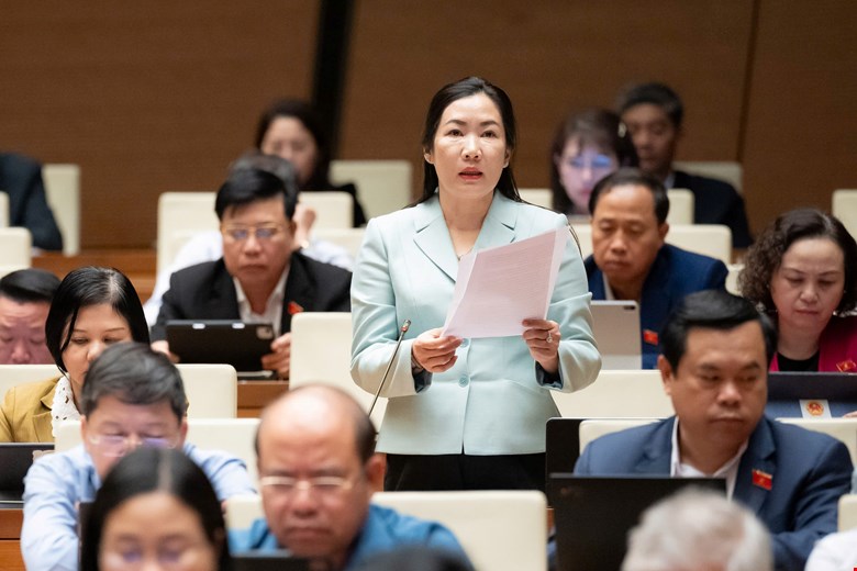 Dai bieu Quoc hoi Tran Thi Thu Phuoc phat bieu. Anh: Quochoi.vn