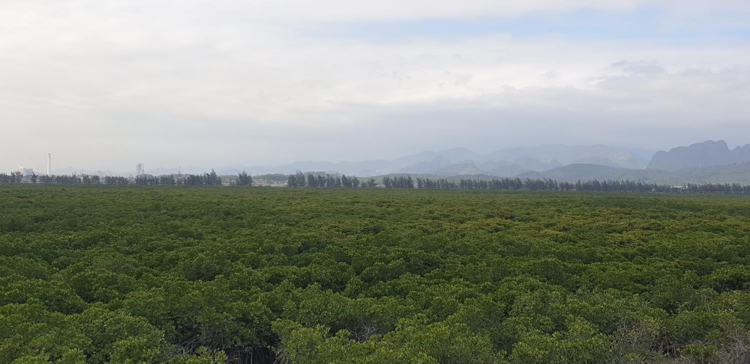 An area along Cua Luc Bay and National Highway 279 in Thong Nhat Commune, Quang Ninh Province. Photo: Nguyen Hung