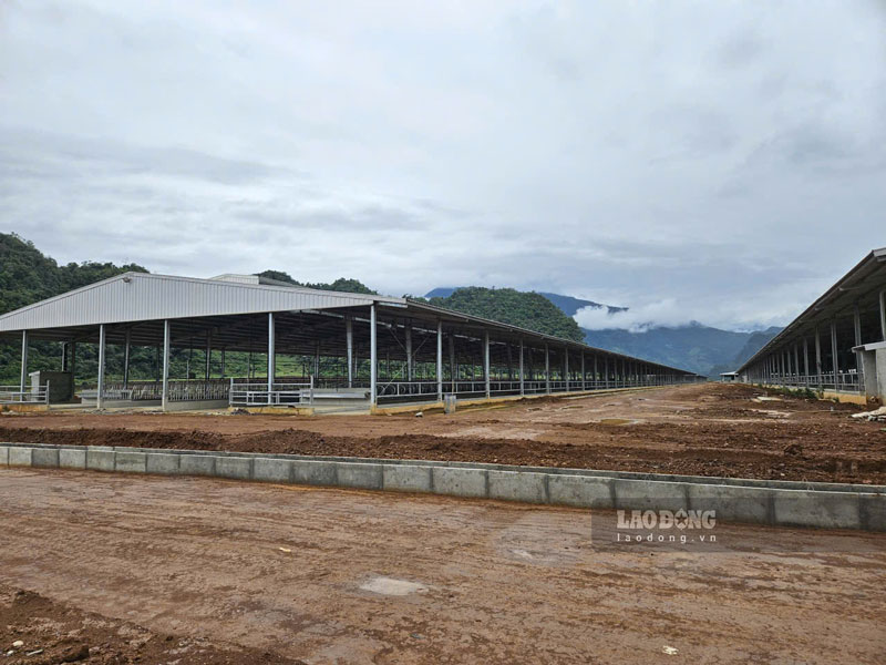 Hinh anh tai du an duoc ghi nhan vao thang 5.2025. Anh: Tan Van