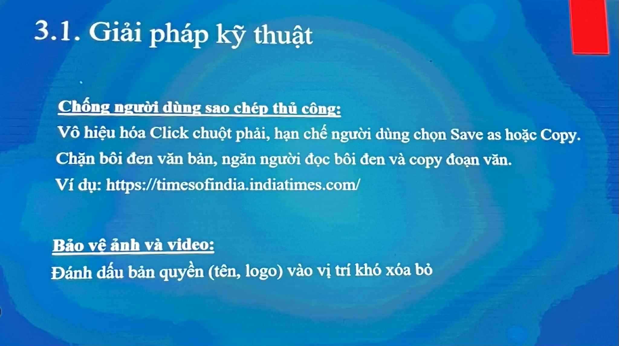 Chuyen gia dua ra giai phap ky thuat nham bao ve ban quyen bao chi. Anh: Chi Long