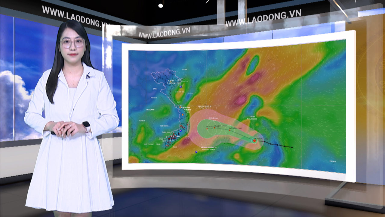 今夜と明日26日の天気予報
