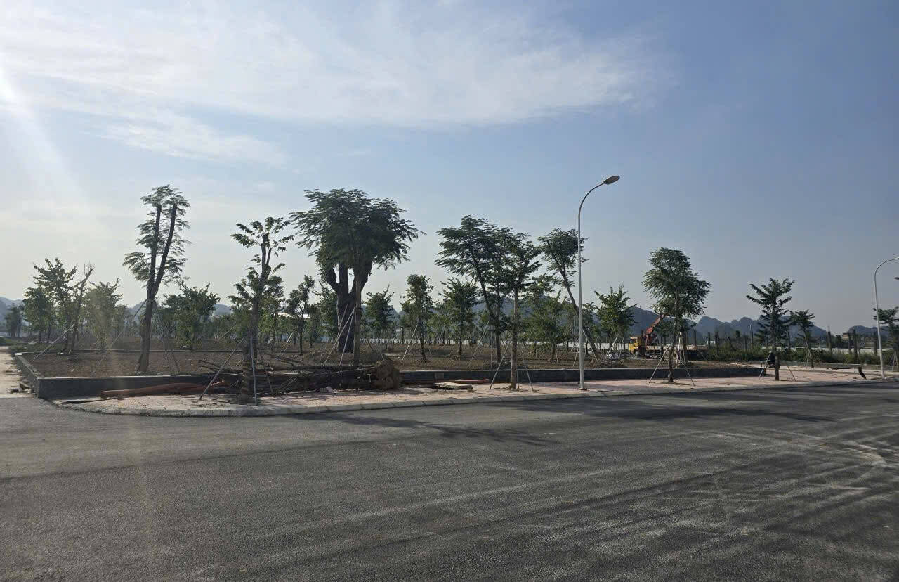 he thong duong giao thong noi bo trong khuon vien truong da duoc dai nhua xong va trong cay xanh. Anh: Nguyen Truong