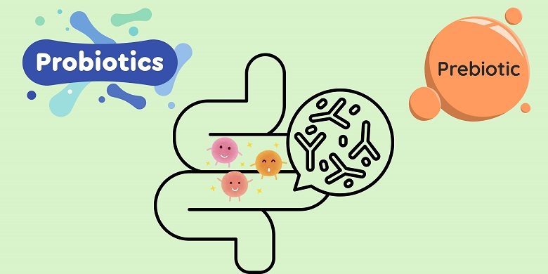 Su khac nhau giua probiotic va prebiotic. Do hoa: Bao Anh