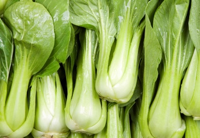 Cai thia es una verdura que las amas de casa deben elegir para las comidas familiares cuando hace frio. Foto: Kieu Vu