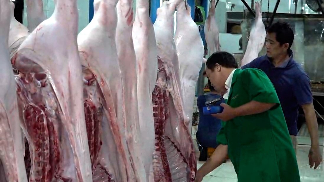 Nganh thu y thanh pho tang cuong cong tac . Anh: Ta Quang