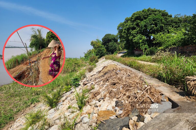 Doan sat lo giap nha ba Nhung da duoc ke kien co. Anh: To Cong.