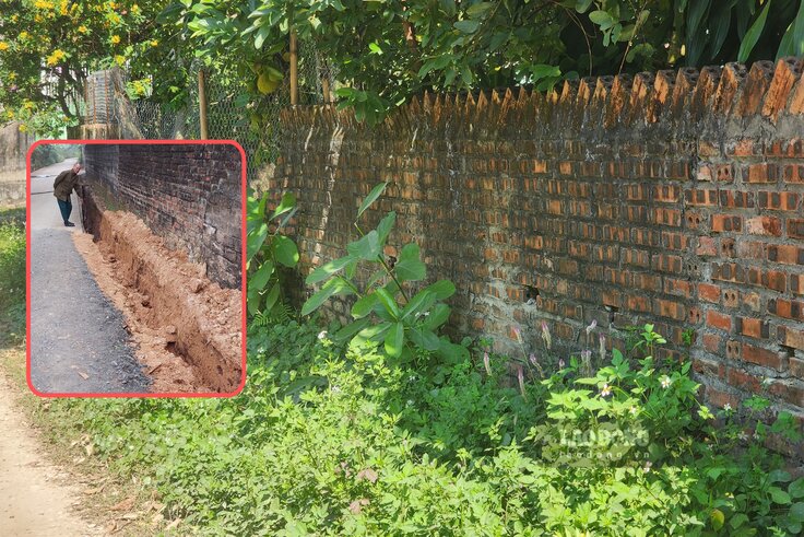 Co dai nay da co the moc um tum ven tuong rao vi duong khong con sut lun lien mien nhu truoc kia. Anh: To Cong 