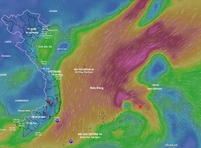 台風15号は東シナ海で強度8に達しています。出典:ベトナム自然災害監視システム