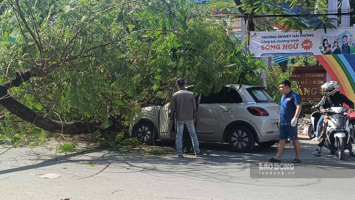 ハイフォン市ヴァンカオ通りを走行中に樹木に衝突された車。写真:Mai Dung