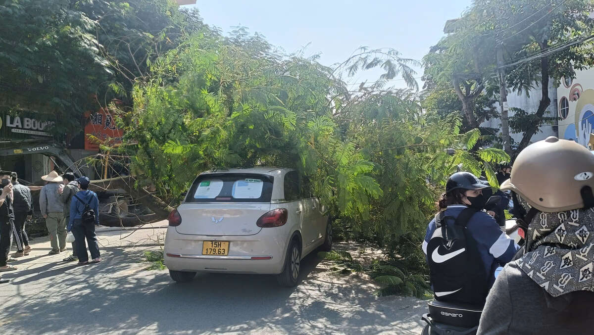 Mot xe o to bi cay de ngang khi dang luu thong qua duong Van Cao. Ảnh: Mai Dung