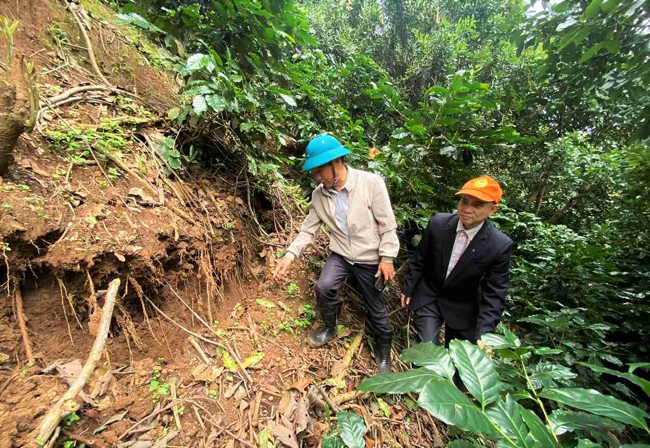 Qua khao sat, danh gia, cac nha khoa hoc se dua ra cac giai phap de ho tro Lam Dong khac phuc hau qua thien tai. Anh: Phuc Khanh