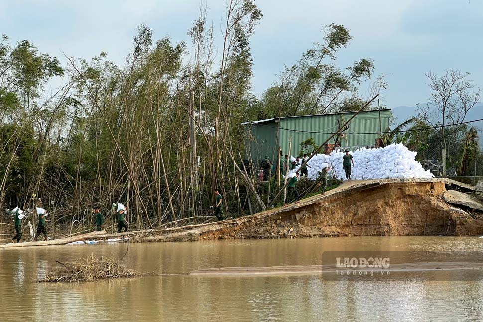 Les officiers et soldats de la brigade 573 (région militaire 5) ont soutenu la commune de Tuy Phuoc (Gia Lai) pour franchir la digue de Luat Le. Photo de : Hoai Phuong