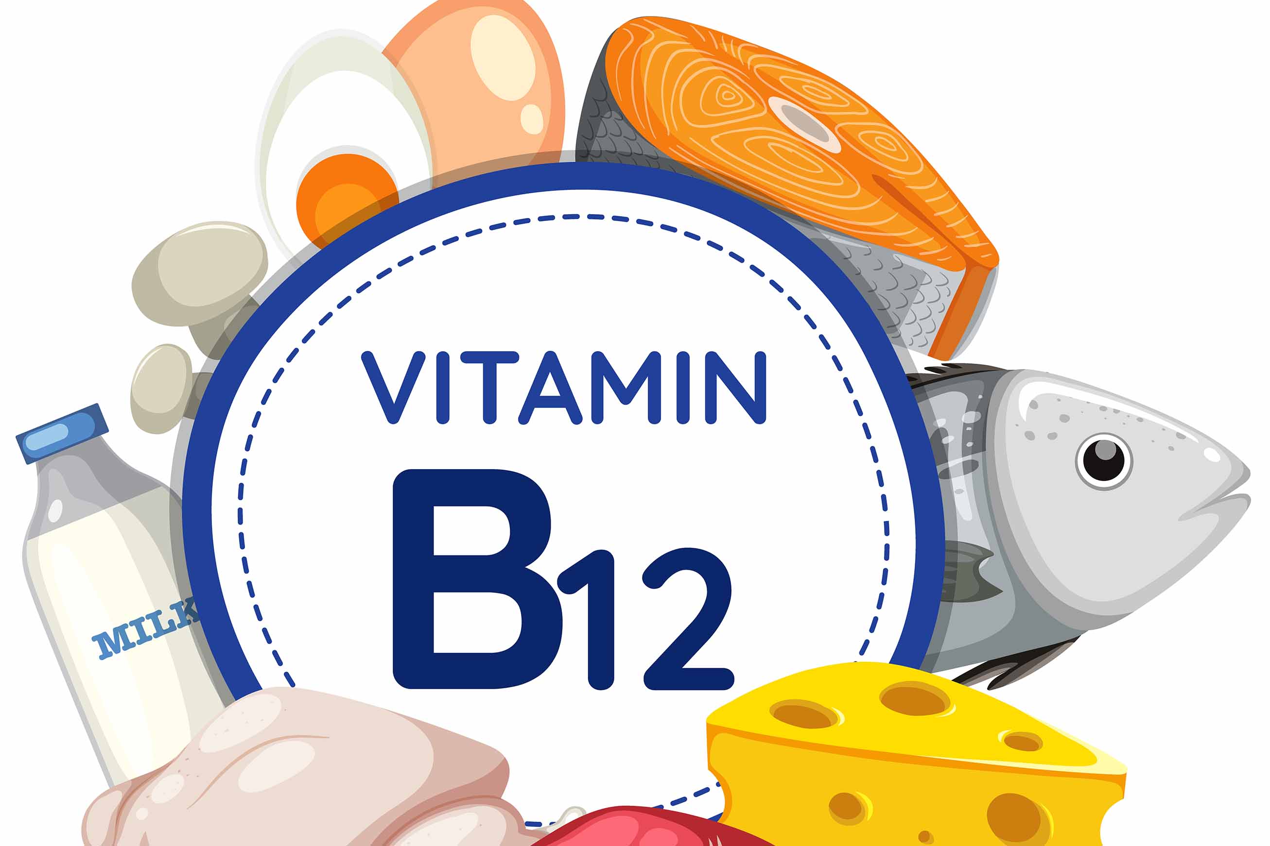 How to prevent and treat vitamin B12 deficiency in men over 50 years old. Graphics: Thien Nhan