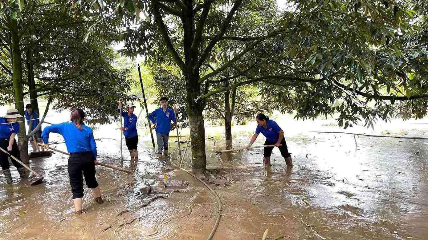 Doan vien, thanh nien xa Cat Tien ho tro don bun non giup nguoi dan cuu vuon sau rieng sau lu. Anh: Phuc Khanh