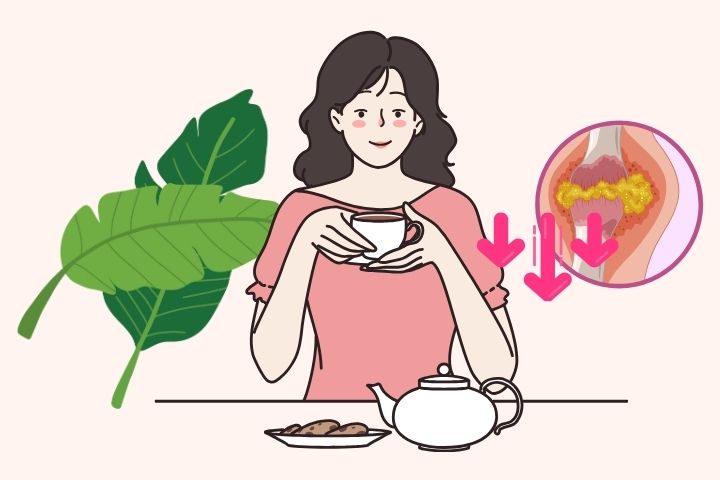 Beneficios inesperados de las hojas de platano para las personas con acido urico alto