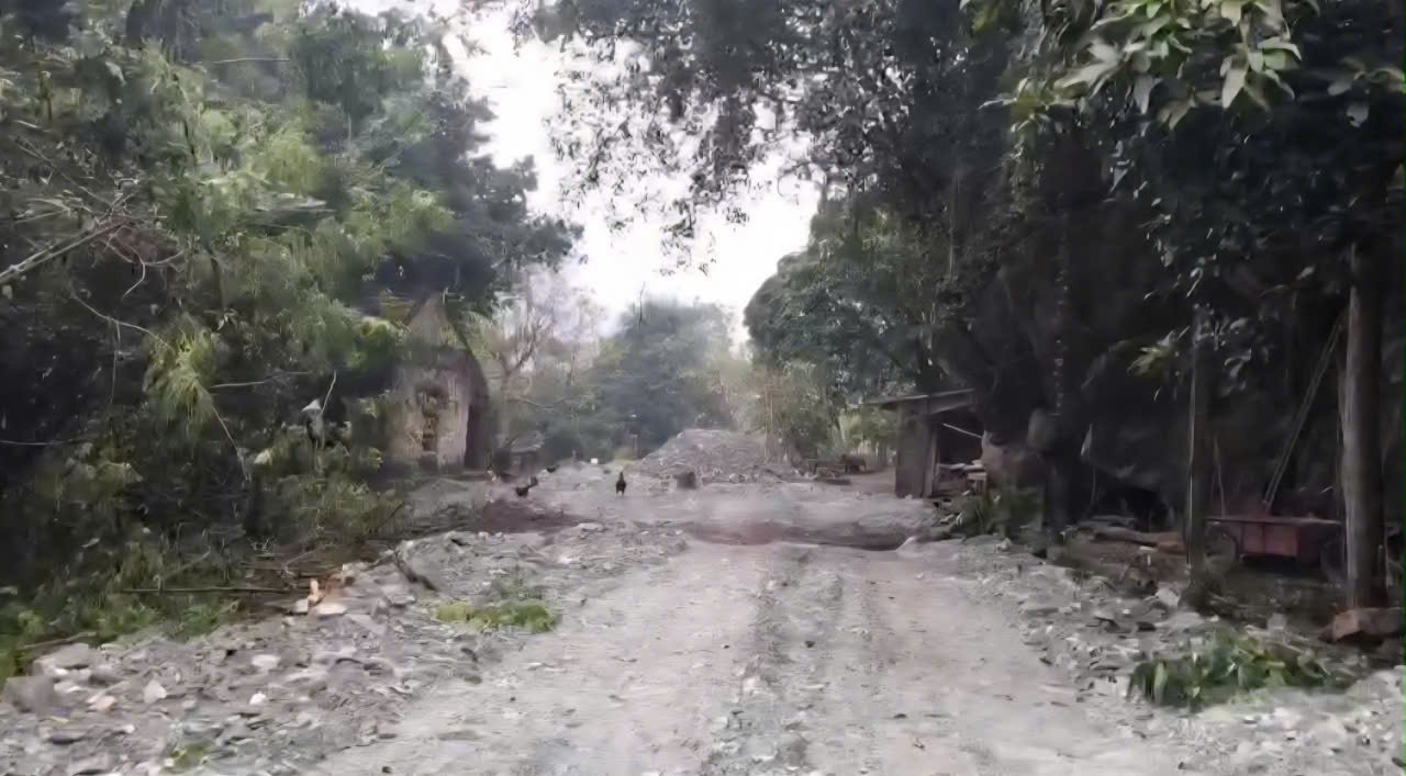 Gần 600m2 đất trong vùng lõi Di sản Tràng An đã bị hộ gia đình bà Lê Thị Hồng Hạnh, phố Hải Nham, phường Nam Hoa Lư san lấp trái phép. Ảnh: Diệu Anh