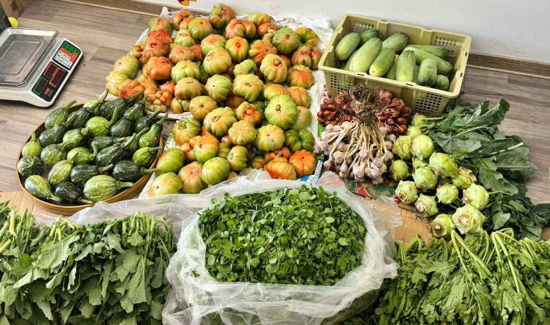 채소 가격 급등. 사진: 르 티 오안