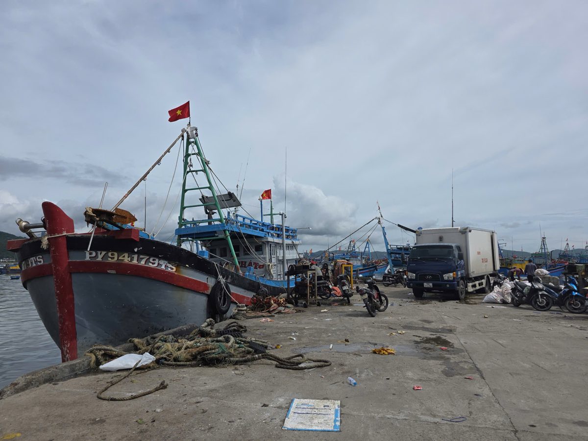 Ship anchored at the port in Dak Lak. The Dak Lak Provincial People's Committee has issued a "Sea Ban Order" to respond to storm No. 15. Photo: Bao Trung
