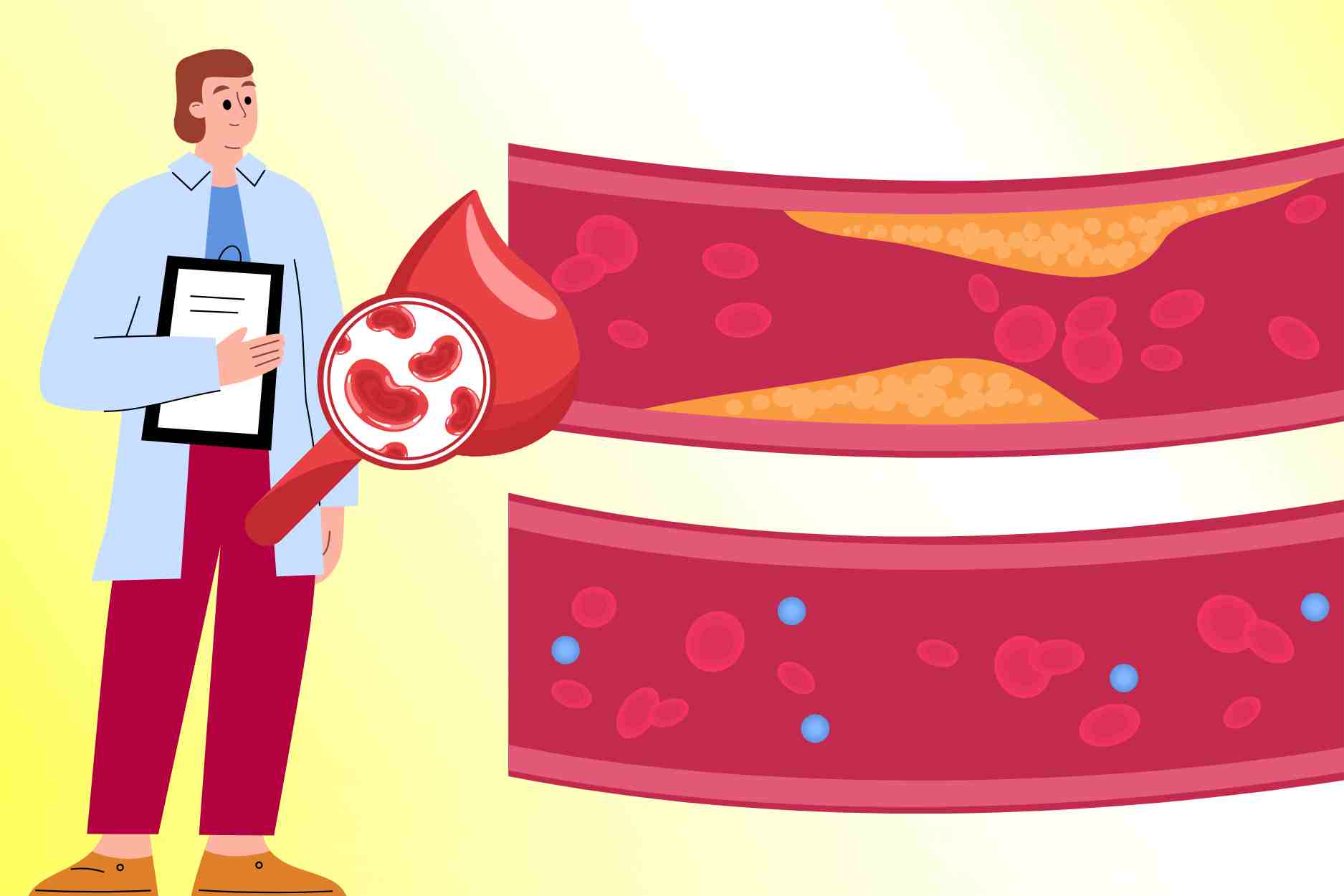 Dos habitos alimenticios sencillos que ayudan a reducir la grasa en la sangre de forma natural