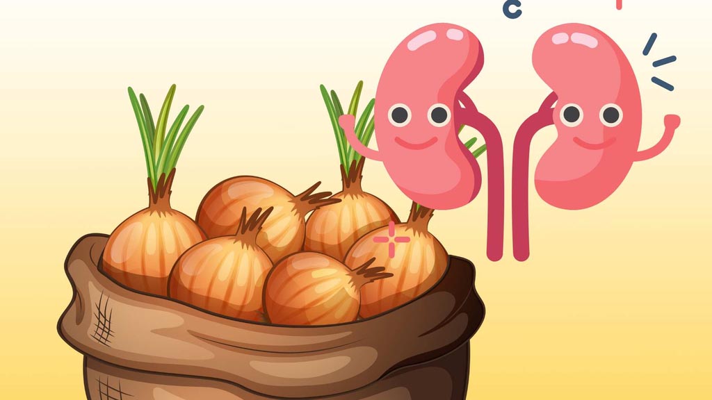 Notas importantes al procesar las cebollas para un mejor soporte para los riñones