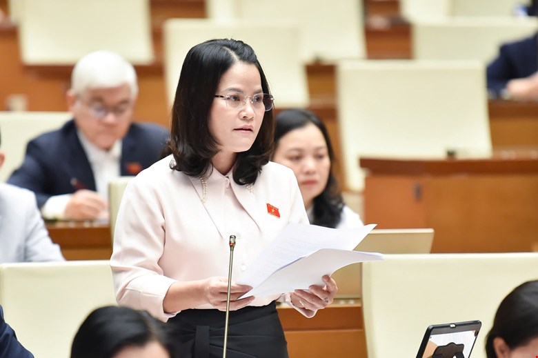 National Assembly delegate Nguyen Hoang Bao Tran spoke about the situation of "competing" for incentives to attract investors, especially in the fields of real estate, textiles, and simple assembly. Photo: Quochoi.vn