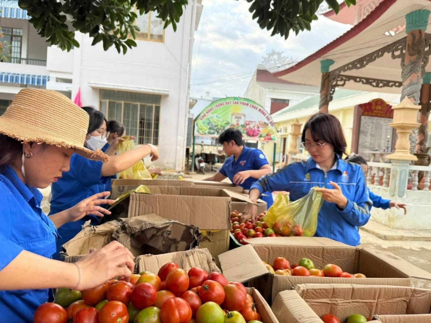 Mercados de verduras de 0 VND en Khanh Hoa llegan a la gente despues de las inundaciones. Foto: Loc Tho