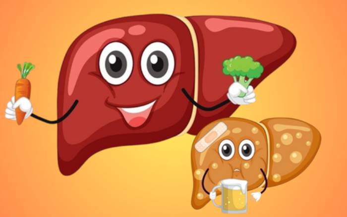 Drinking warm lemon water, eating a protein-rich breakfast, and getting 7-8 hours of sleep can improve fatty liver condition. Photo: Thao Nhung