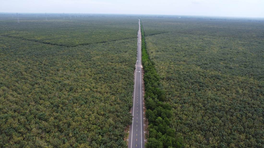 Doan 31,5km do Tap doan Deo Ca thi cong. Anh: Dinh Trong