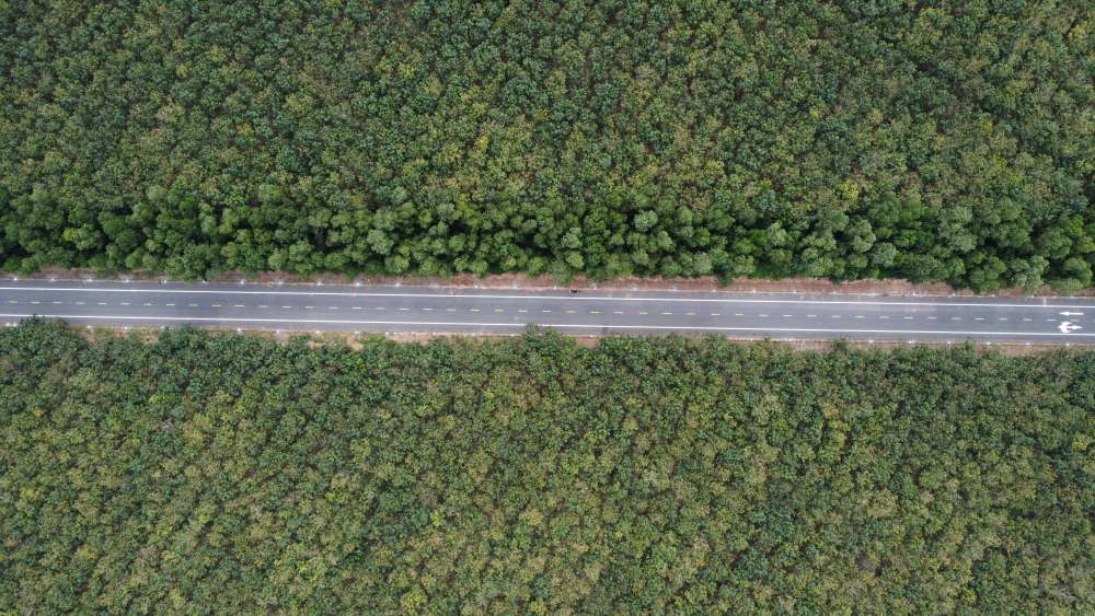 Tu tren cao nhin xuong tuyen duong di xuyen qua nhung vuon cay cao su. Anh: Dinh Trong