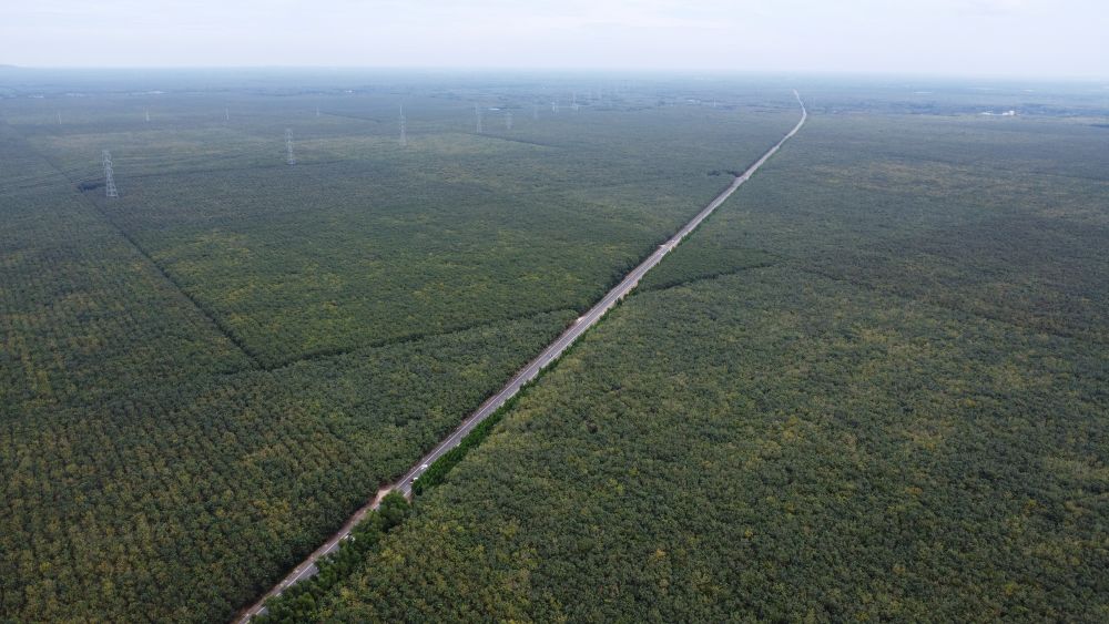 Duong Ho Chi Minh di qua xa Thanh An. Anh: Dinh Trong