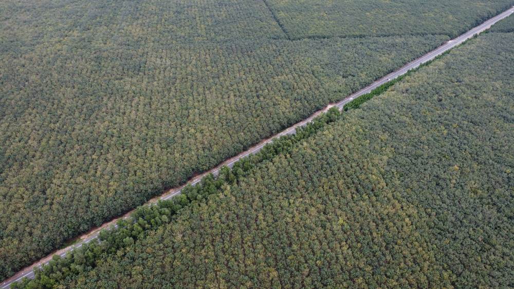 Tuyen duong xay dung xong se gop phan thuc day kinh te giua cac dia phuong. Anh: Dinh Trong