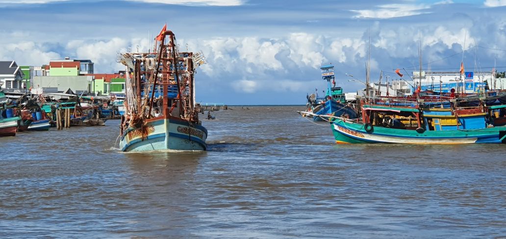 Ca Mau province no longer has "3 no" fishing vessels. Photo: Nhat Ho