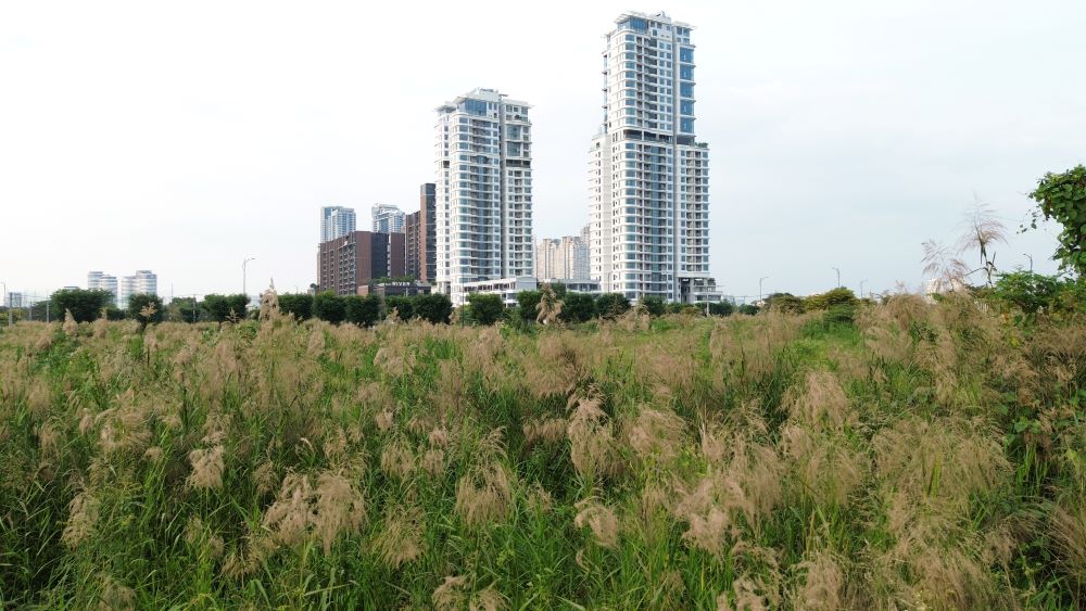 Ben trong cac khu “dat vang” nay chu yeu la dam lay va ho nuoc.  