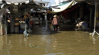 Huynh Huu Nghia market (My Tu commune, Can Tho city) has been flooded for more than a month now.