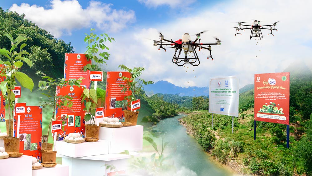 OMO has completed the goal of planting 1 million trees. Photo: Provided by the enterprise