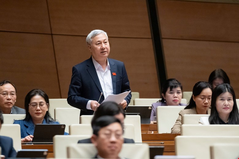 Dai bieu Tran Van Lam phat bieu. Anh: Quochoi.vn