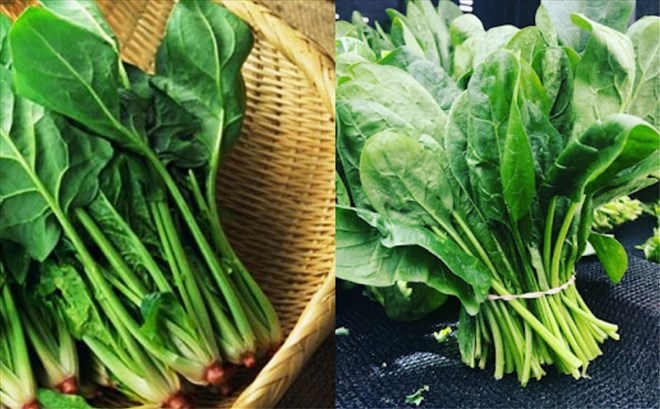 Spinach has many health benefits. Photo: Doan Hang