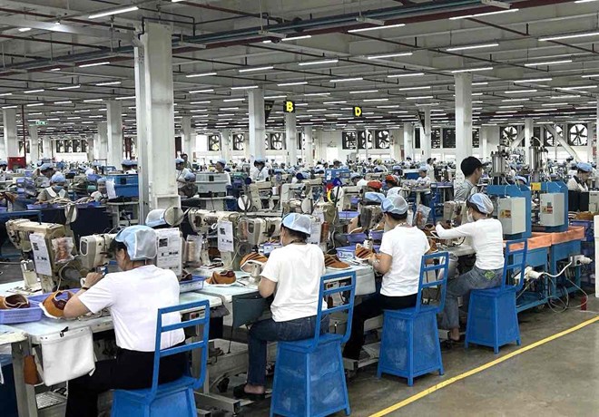 Forma de presentacion del informe sobre la situacion del uso de mano de obra a finales de 2025 en Ciudad Ho Chi Minh