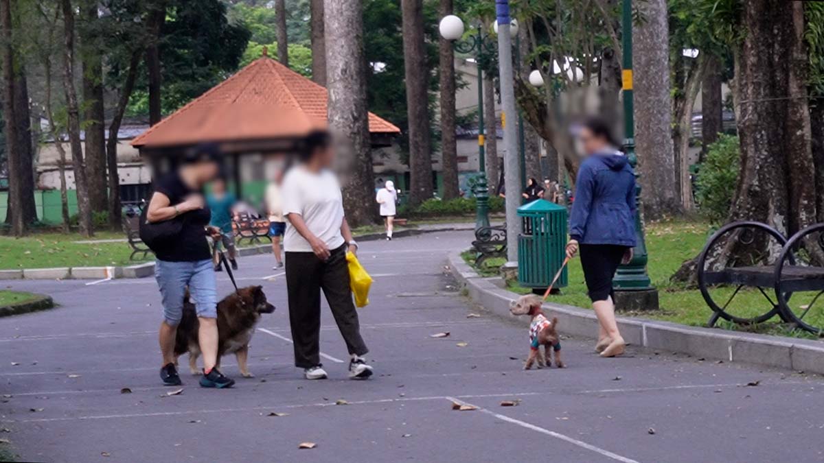주민들은 공중 보건을 위해 개와 고양이를 키울 때 보고하고 백신을 접종하는 것에 동의합니다