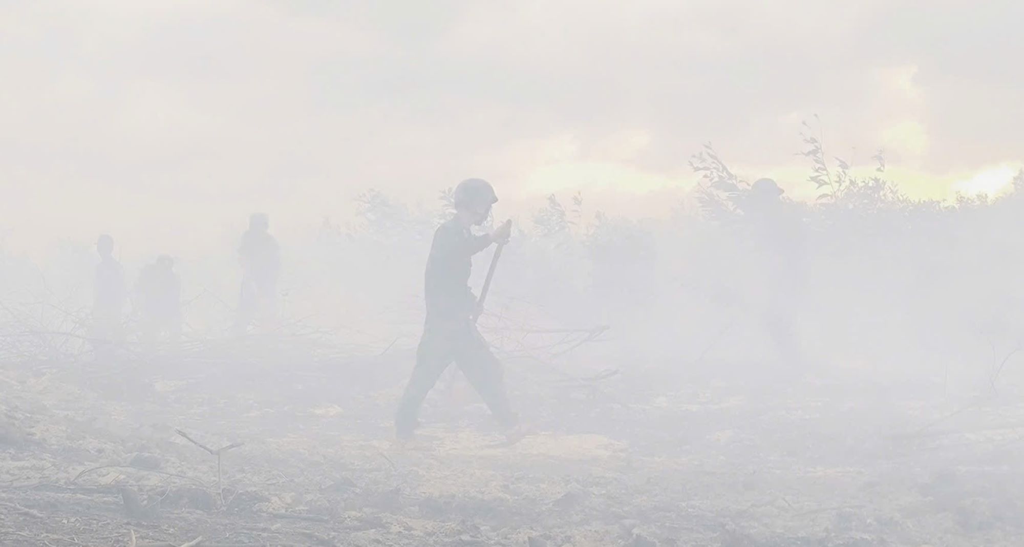 森林火災による煙と霧が立ち込め、国境警備隊、警察、軍事、地方自治体が消火に努めています。写真:Cua Tung国境警備隊